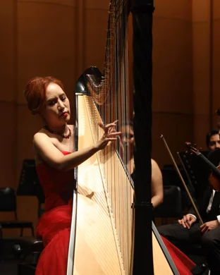 Atom String Quartet New York