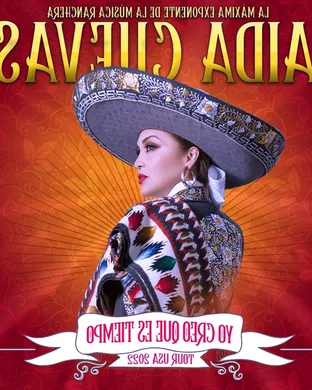 Aida Cuevas Bronx