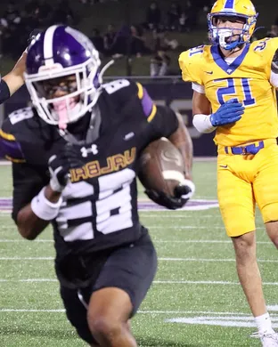 Ualbany Great Danes Football Stony Brook