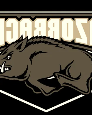 Arkansas Razorbacks Basketball Brooklyn