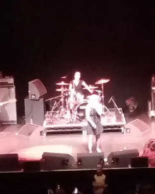 Bikini Kill Brooklyn