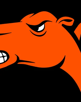 Campbell Fighting Camels Buies Creek