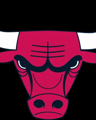 Chicago Bulls Brooklyn