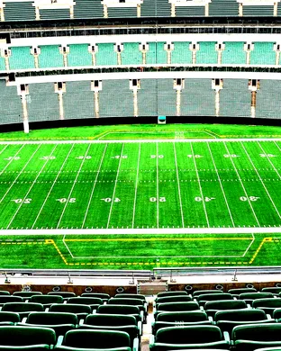 Cincinnati Bengals Brooklyn