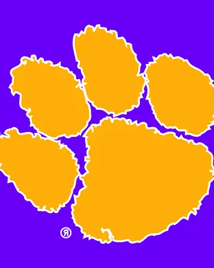 Clemson Tigers Brooklyn