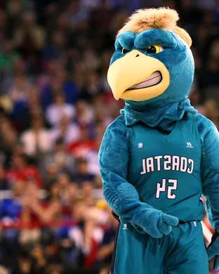 Coastal Carolina Chanticleers Brooklyn