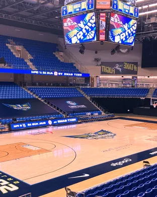 Dallas Wings Brooklyn