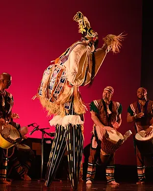 DanceAfrica Brooklyn
