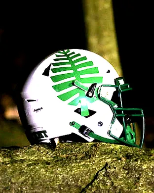 Dartmouth Big Green Football New York