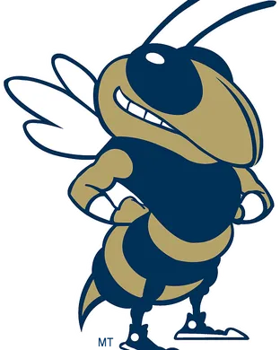 Georgia Tech Yellow Jackets Atlanta