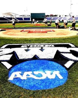 Kentucky Wildcats Baseball Lexington