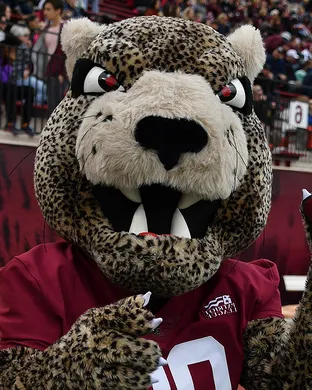 Lafayette Leopards New York