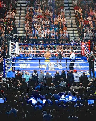 Msg Boxing Ring Masters Championships New York