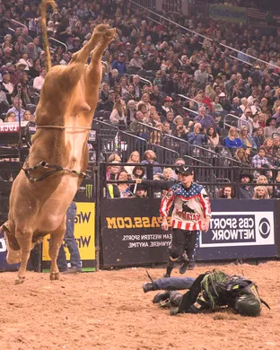 Pbr - Professional Bull Riders Elmont