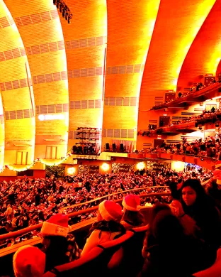 Radio City Christmas Spectacular New York