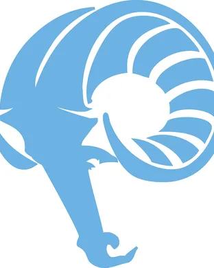 Rhode Island Rams Stony Brook