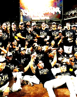 San Diego Padres Flushing