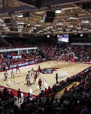 Stony Brook Seawolves Brooklyn