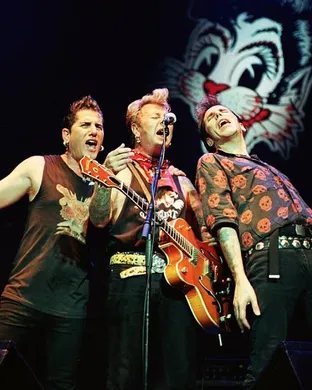 Stray Cats Morristown
