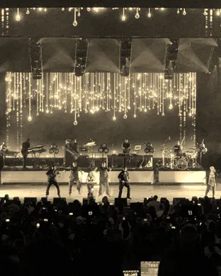 Tlc Brooklyn