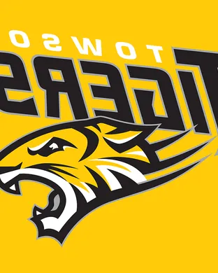 Towson Tigers Brooklyn