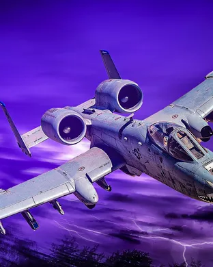 Warthog New York