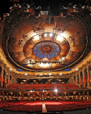 Cats: The Jellicle Ball New York