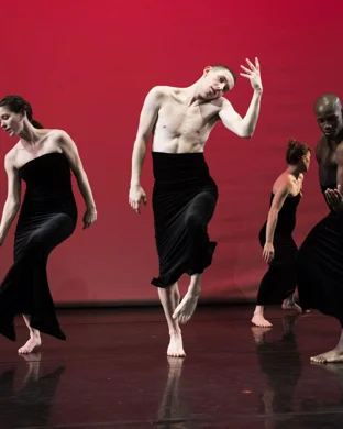 Ronald K. Brown & Evidence - A Dance Company Princeton