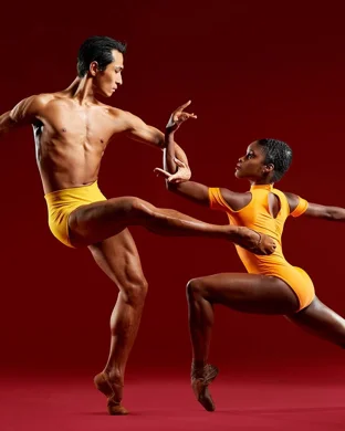 New Canaan Dance Academy Stamford